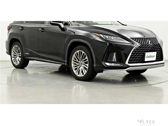 2019 Lexus RX