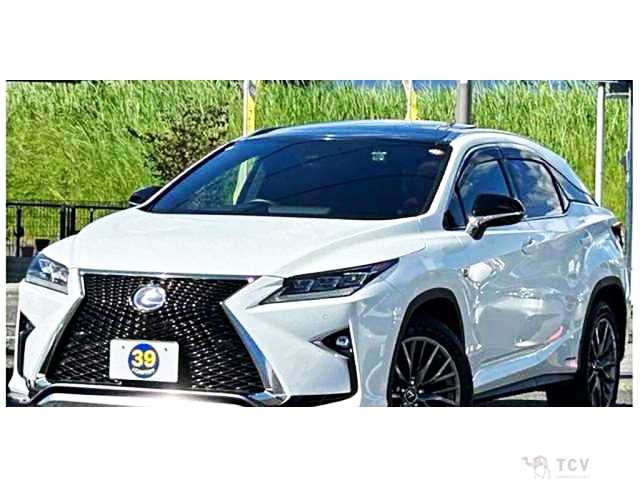 2019 Lexus RX