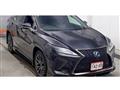 2019 Lexus RX