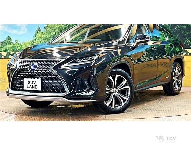 2019 Lexus RX