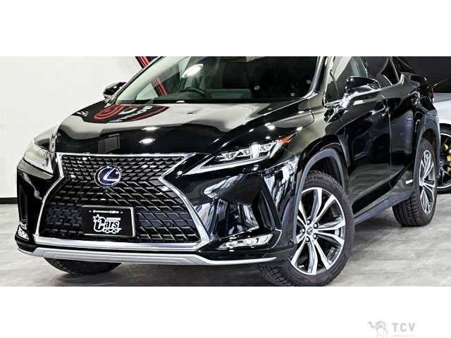 2019 Lexus RX