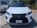 2019 Lexus RX