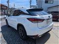 2019 Lexus RX