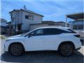 2019 Lexus RX