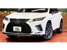 2019 Lexus RX