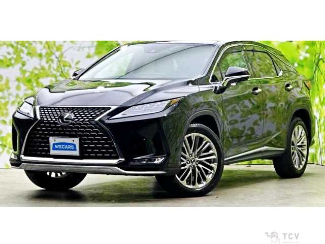 2019 Lexus RX
