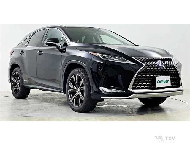 2019 Lexus RX