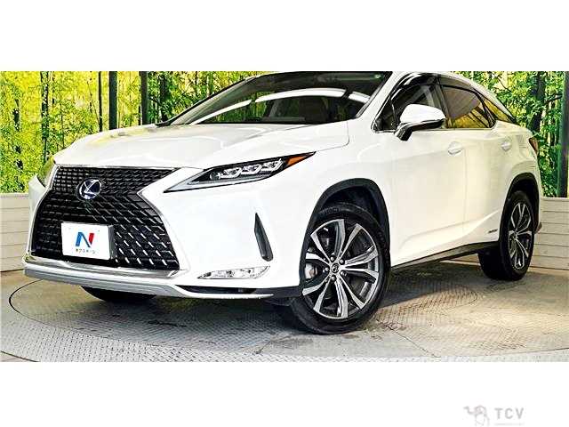 2019 Lexus RX