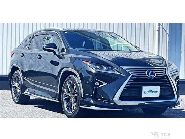 2019 Lexus RX