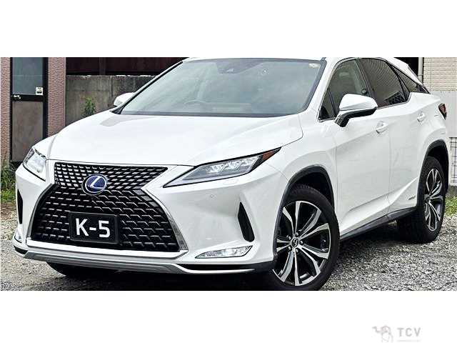 2019 Lexus RX