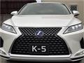 2019 Lexus RX