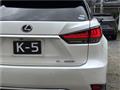 2019 Lexus RX