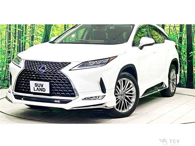 2019 Lexus RX