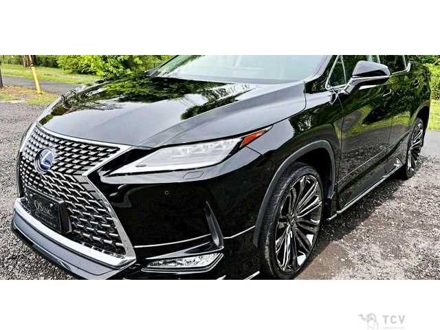 2019 Lexus RX