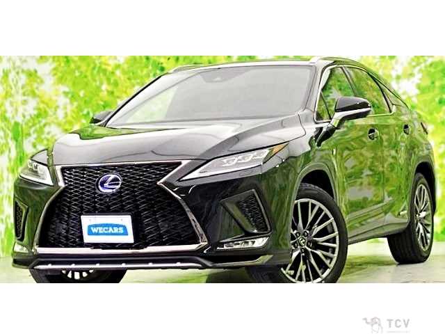 2019 Lexus RX