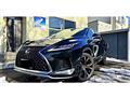 2019 Lexus RX