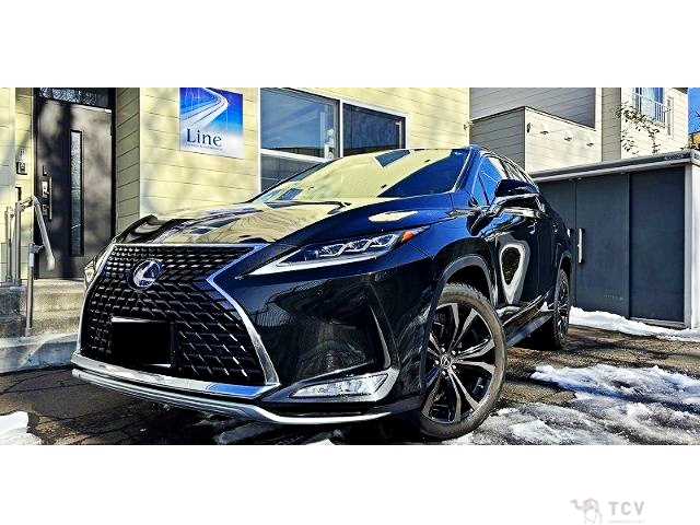 2019 Lexus RX