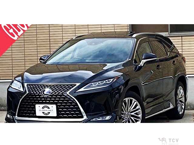 2019 Lexus RX