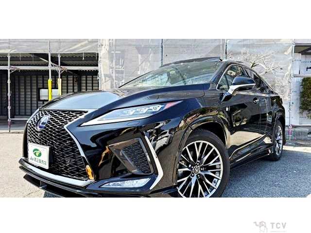 2019 Lexus RX