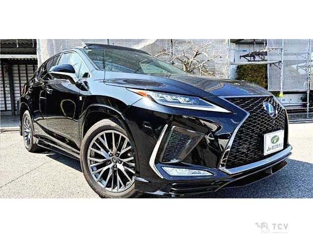 2019 Lexus RX