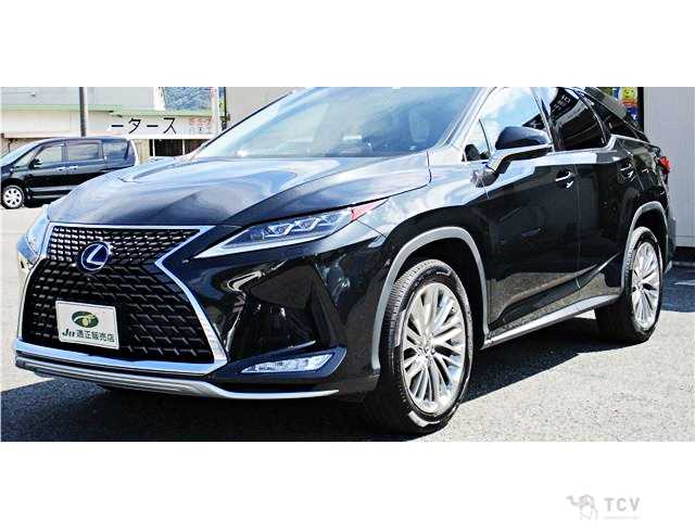 2019 Lexus RX