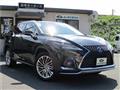 2019 Lexus RX