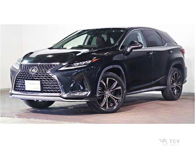 2020 Lexus RX