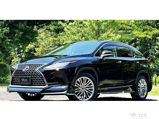 2020 Lexus RX