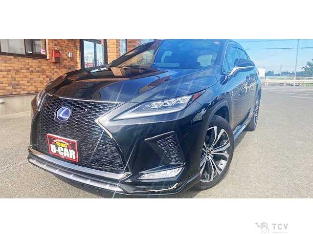 2020 Lexus RX