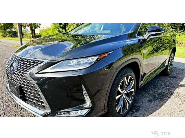 2020 Lexus RX