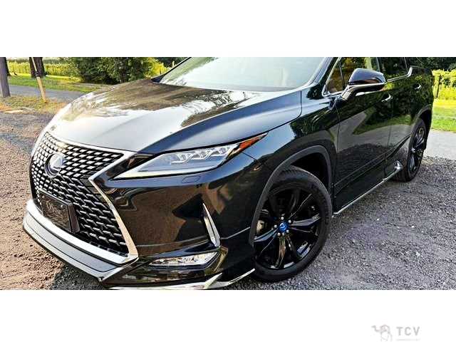 2020 Lexus RX