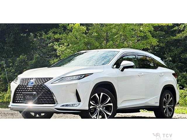 2020 Lexus RX
