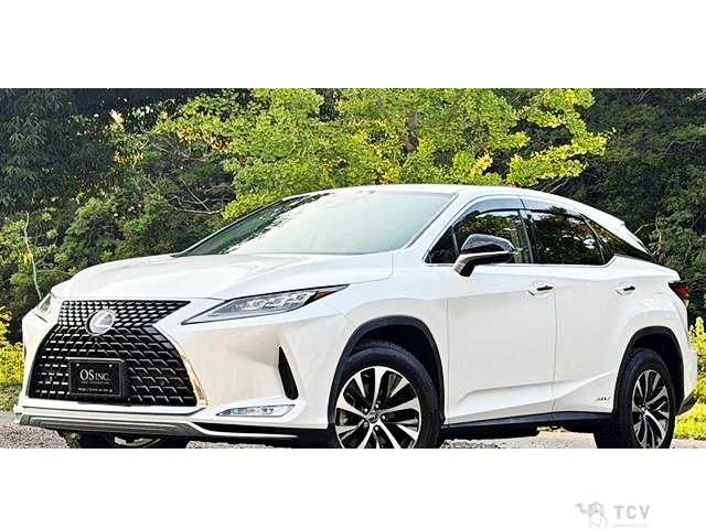 2020 Lexus RX