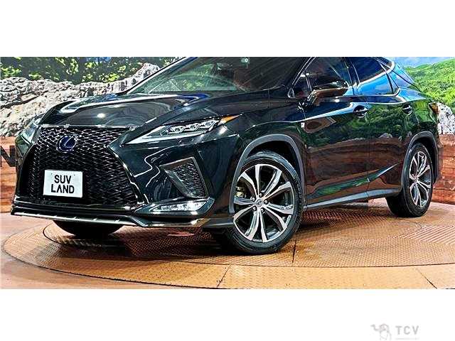 2020 Lexus RX