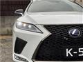 2020 Lexus RX