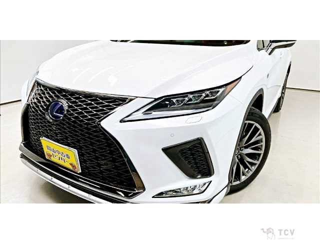 2020 Lexus RX