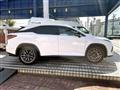 2020 Lexus RX