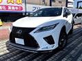 2020 Lexus RX