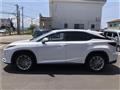 2021 Lexus RX
