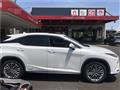2021 Lexus RX