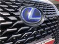 2021 Lexus RX