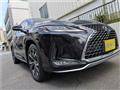 2021 Lexus RX