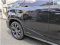 2021 Lexus RX