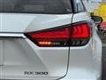 2021 Lexus RX