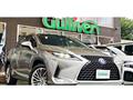 2021 Lexus RX