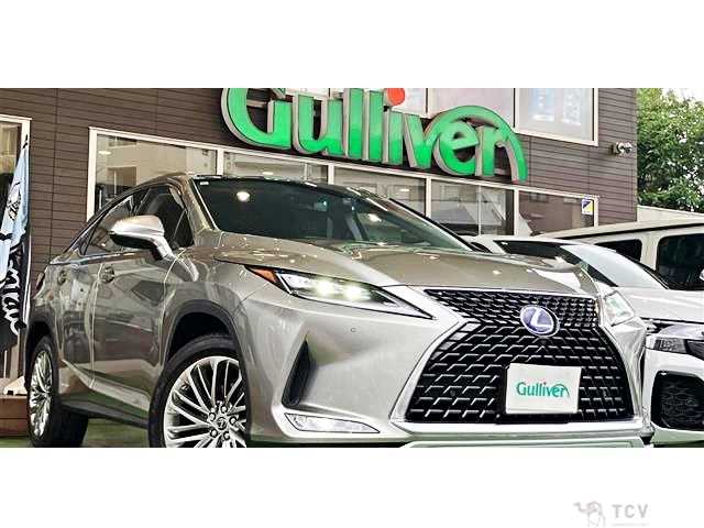 2021 Lexus RX