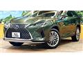 2021 Lexus RX