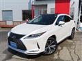 2021 Lexus RX