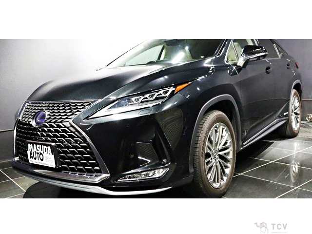 2021 Lexus RX
