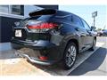 2021 Lexus RX